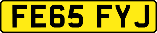 FE65FYJ