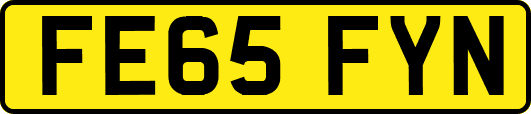 FE65FYN