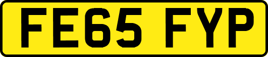 FE65FYP
