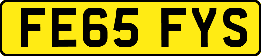 FE65FYS