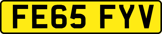 FE65FYV