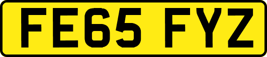 FE65FYZ