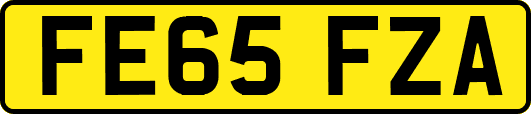 FE65FZA