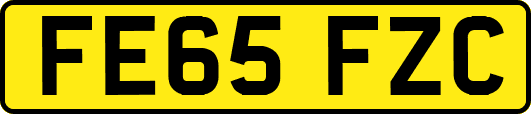 FE65FZC