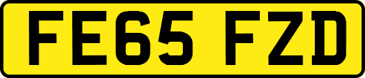 FE65FZD
