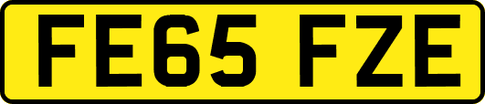 FE65FZE