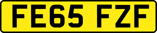 FE65FZF