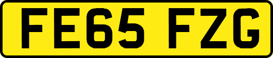 FE65FZG