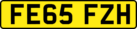 FE65FZH
