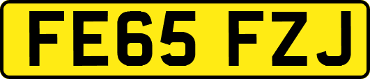 FE65FZJ