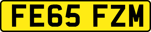 FE65FZM