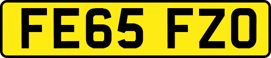 FE65FZO