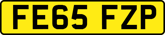 FE65FZP