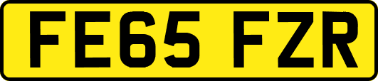 FE65FZR