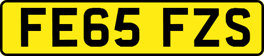 FE65FZS