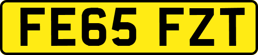 FE65FZT