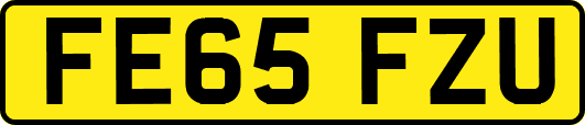 FE65FZU