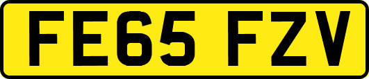 FE65FZV