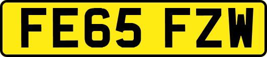 FE65FZW
