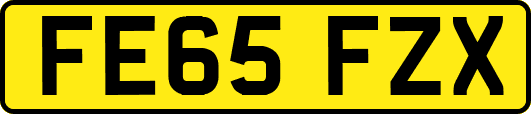 FE65FZX