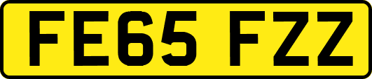 FE65FZZ