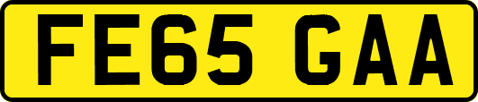 FE65GAA