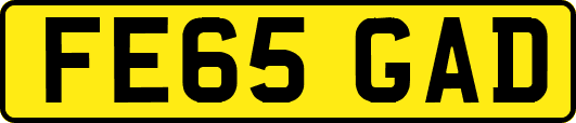 FE65GAD