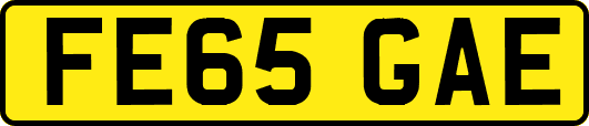 FE65GAE