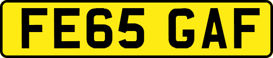 FE65GAF