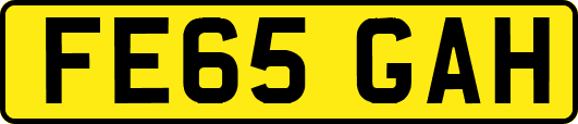 FE65GAH