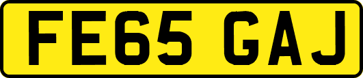 FE65GAJ