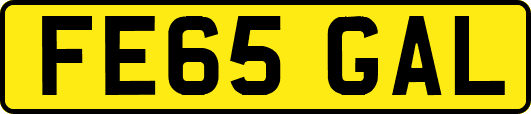 FE65GAL