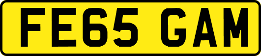 FE65GAM