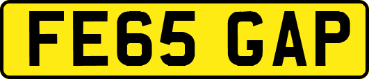 FE65GAP