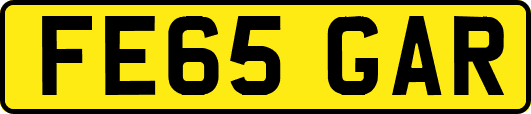 FE65GAR