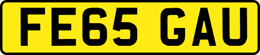 FE65GAU