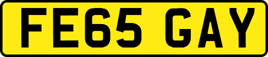 FE65GAY
