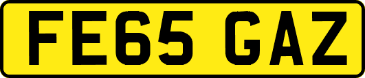 FE65GAZ