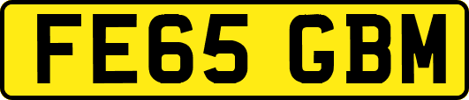 FE65GBM