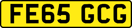 FE65GCG