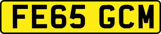 FE65GCM