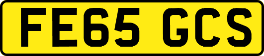 FE65GCS