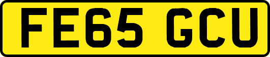 FE65GCU