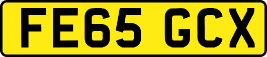 FE65GCX