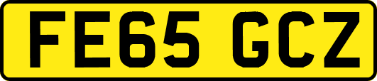 FE65GCZ