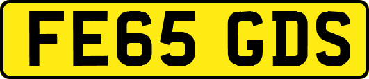 FE65GDS