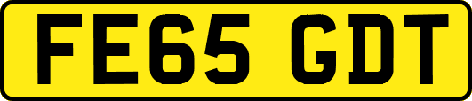 FE65GDT