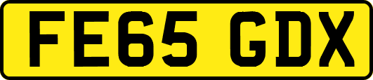 FE65GDX
