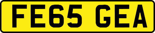 FE65GEA