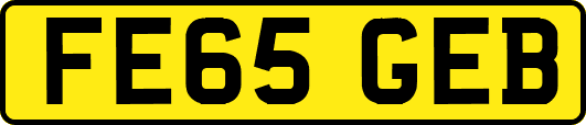 FE65GEB